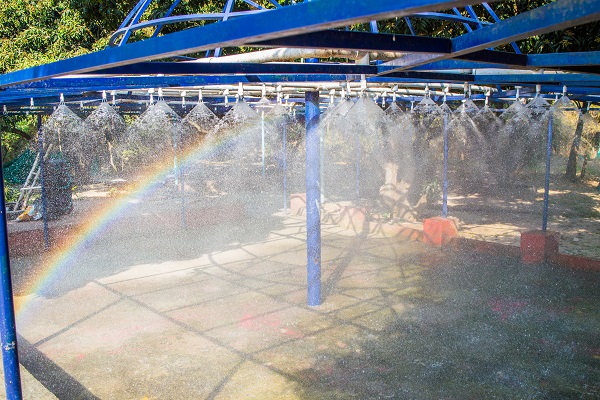 Rain dance activity